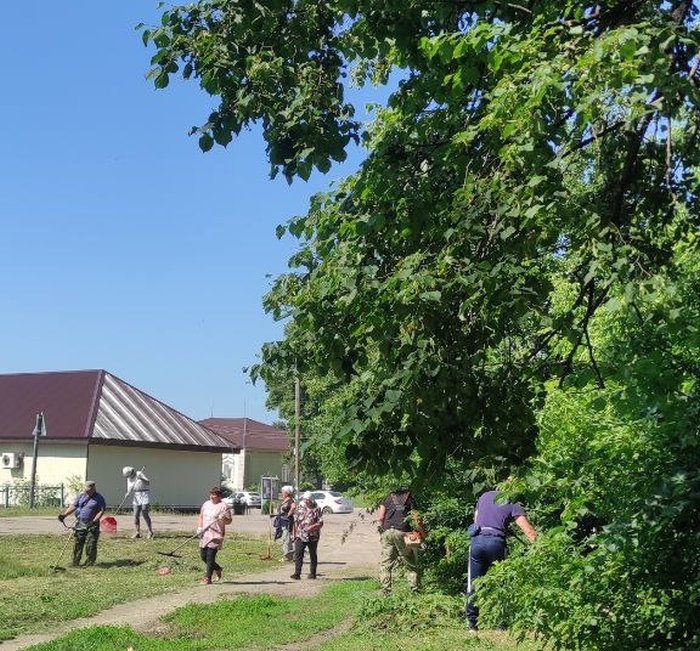Фото новости