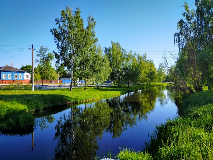 Островок природы в центре Новозыбкова