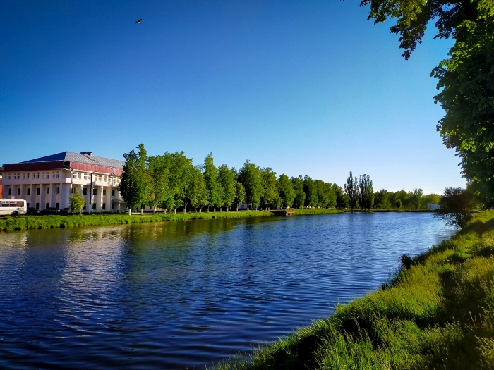 Островок природы в центре Новозыбкова