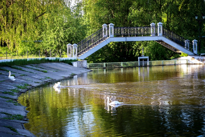 Островок природы в центре Новозыбкова