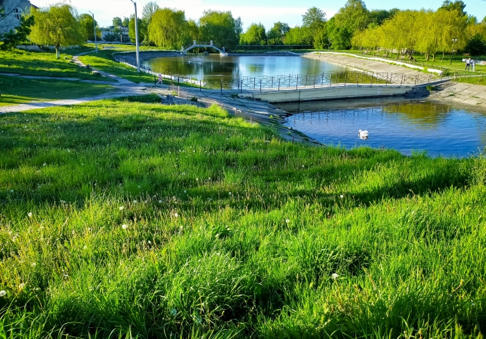 Островок природы в центре Новозыбкова