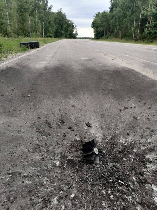 В Брянской области обстреляны села Новые Юрковичи и Ломаковка
