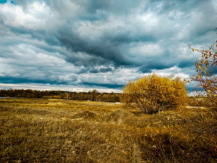Осень в Клинцовском районе