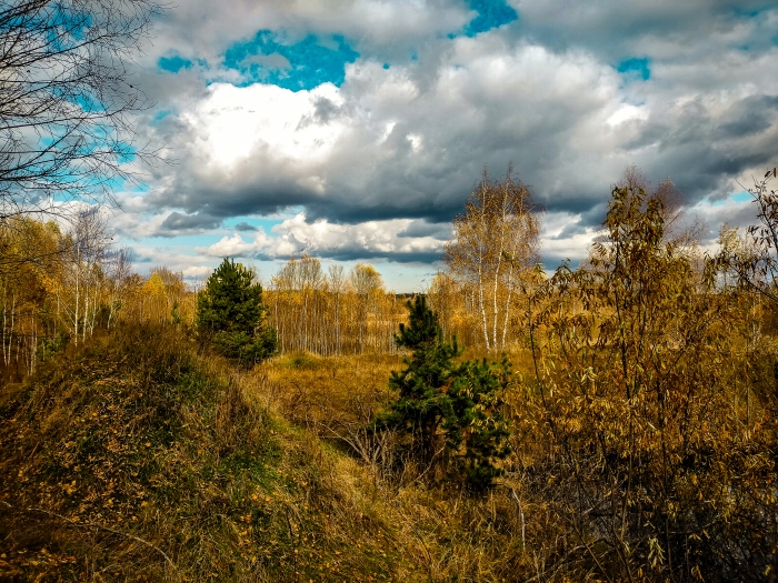 Осень в Клинцовском районе