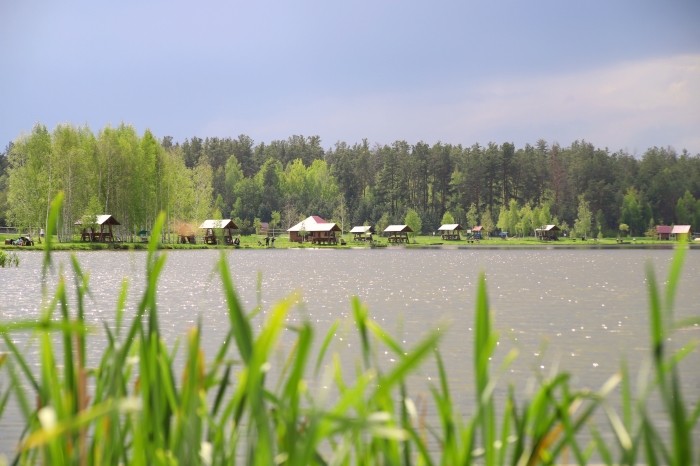 Загородный отдых в Брянской области