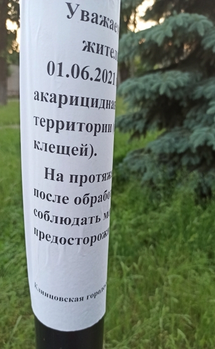 Пограничные субботники в Клинцах или «Сделай сам»
