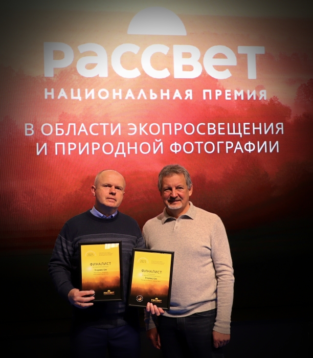 Два проекта СМИ Клинцы.Инфо отметили во время награждения национальной премии «Рассвет»