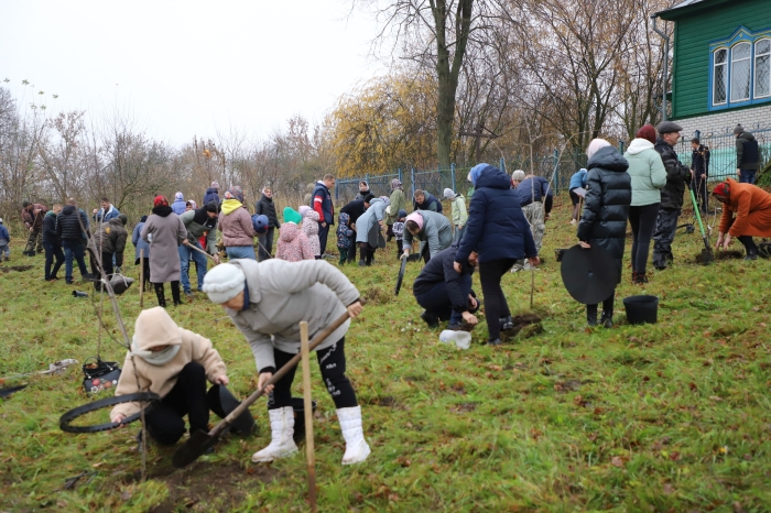 В Клинцовском районе заложили «Семейный сад»
