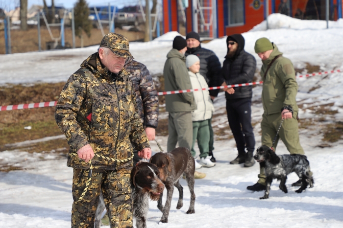 В Клинцах прошла выставка охотничьих собак