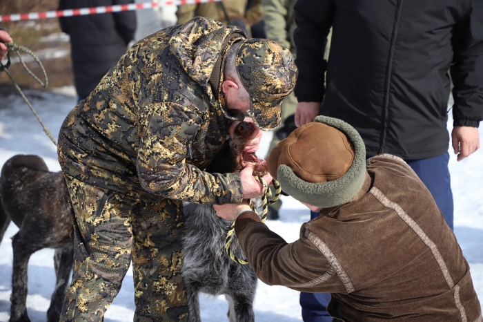 В Клинцах прошла выставка охотничьих собак