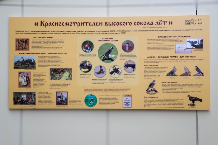 Центр восстановления и адаптации птиц в Сокольниках