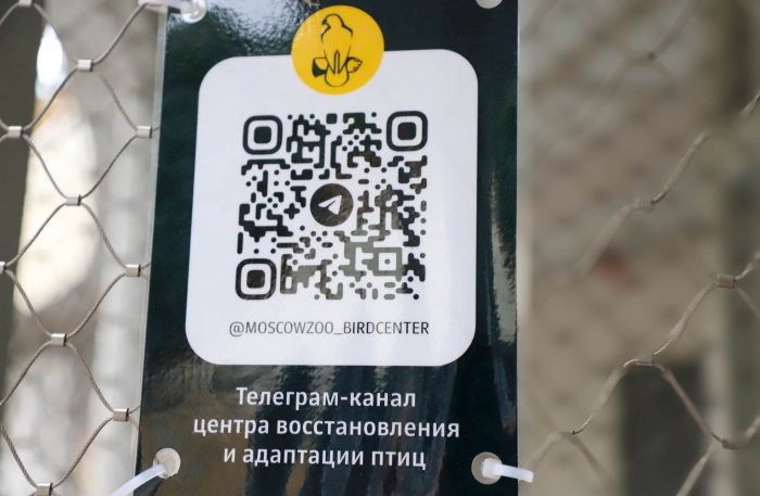 Центр восстановления и адаптации птиц в Сокольниках