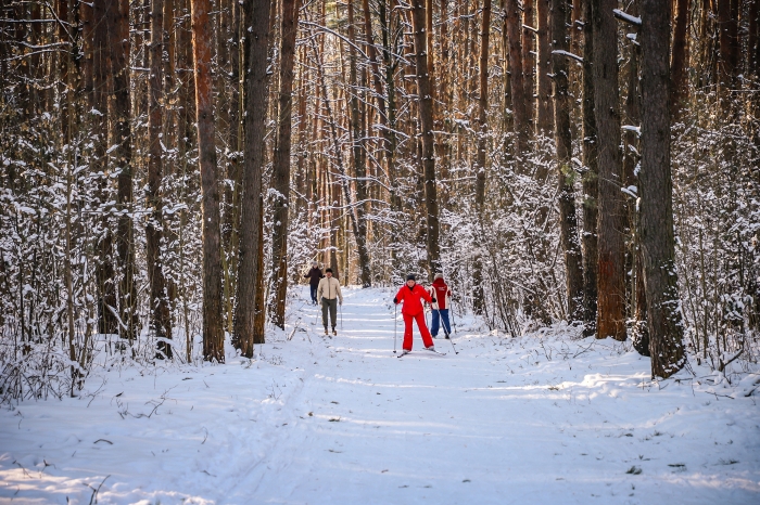 Зимний досуг: Клинчане семьями выходят кататься на санках, ледянках и лыжах