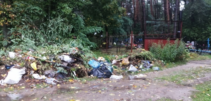 Региональные СМИ поднимают проблему уборки городских кладбищ в Клинцах