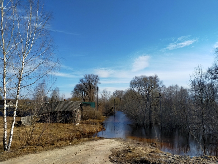 Разлив реки Унеча в Клинцовском районе