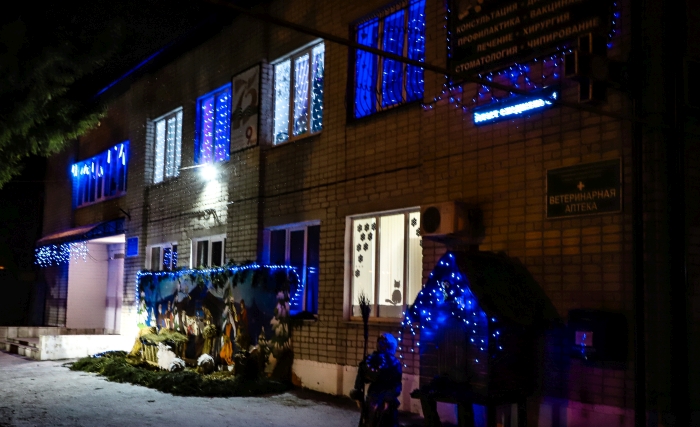 Новогоднее настроение: В Клинцах украсили ветеринарную станцию 