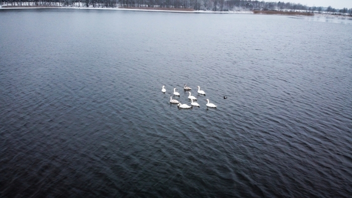 Местные жители проверили толщину льда на озере Заломенье