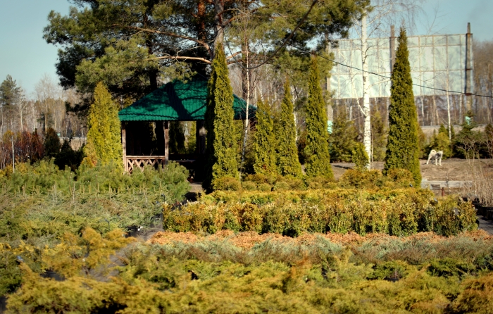 Садовый центр «Зеленый сад» открыл новый сезон - 2024 года